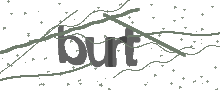 Captcha Bild