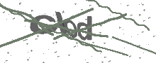 Captcha Bild